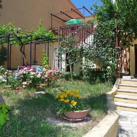 Apartment Tolles In Mit Garten Und In Der Naehe *